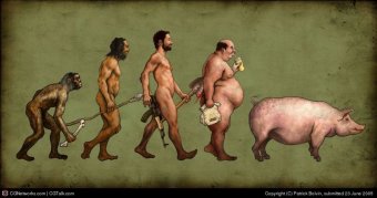 Evolucion-Cerdo